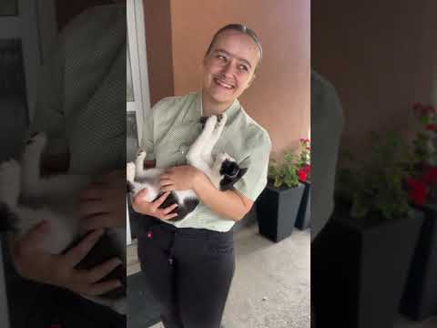 Još jedan behind the scenes, ovaj put s mojom mačkom😂