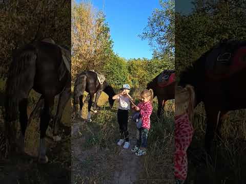 Як ми ходимо гуляти 2025 р.