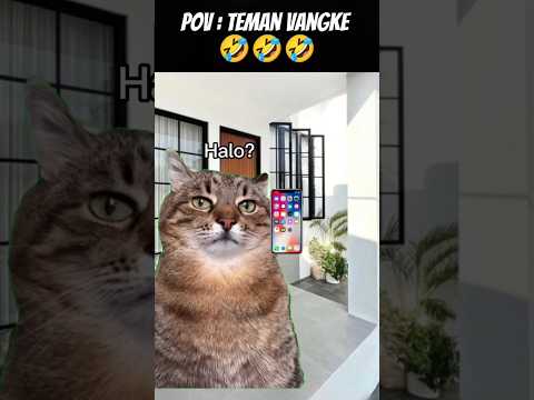 Pov : Emang ada kek Gitu ⁉️ #meme #cat #kucing #animation #trending