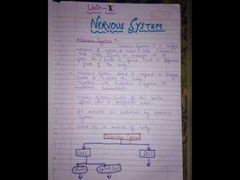 Nervous system |types of nerve|nerve cells|Neuron #humananatomyandphysiology #2ndsem #notes