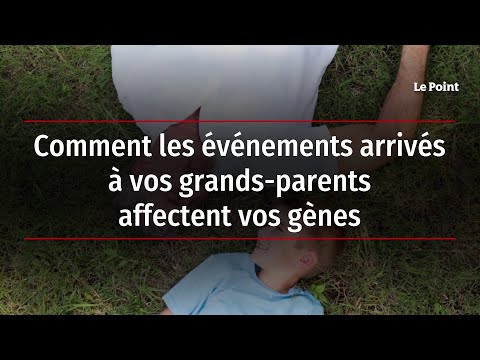 Comment les événements arrivés à vos grands-parents affectent vos gènes