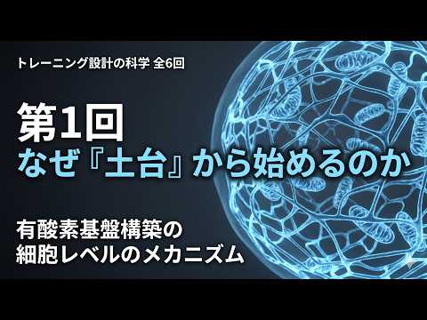 【第1回】トレーニング設計の科学:土台なきスピードは崩壊する。有酸素基盤構築の生理学的メカニズム