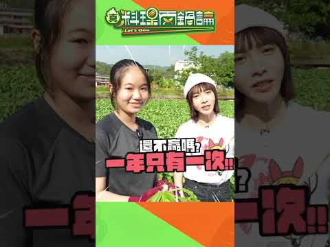 溫妮真是拚了!! 要讓羅鍋隊 在比賽中奪勝親自南下尋找「秘密武器食材」#真料理兩鍋論