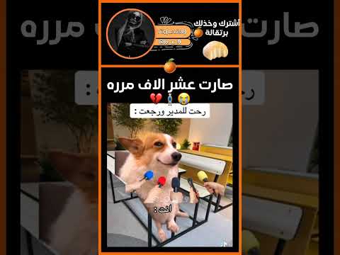 فرطتتت😭😭#kpop #مامامو #مدرسة#ضحك#ميمز