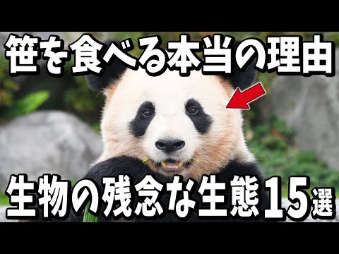 9割の人が知らない生物の残念な生態15選【生物雑学】