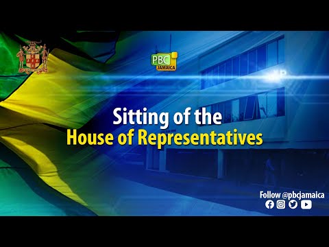 Sitting of the House of Representative || April 9, 2024