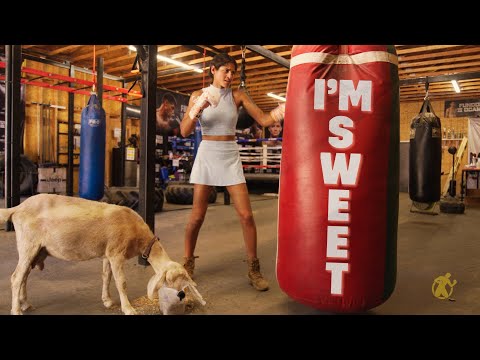 Gabriela Fundora | I’m Sweet!