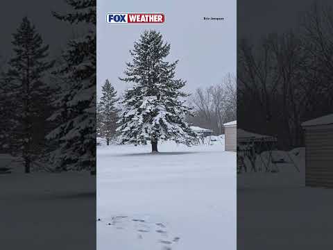 RELENTLESS SNOW: Heavy Snow Blanketed Much Of The Great Lakes Region To End The Weekend