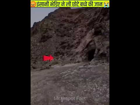 😱आखिर में गुफा में अंदर जो मिला #facts #shorts #ytshorts