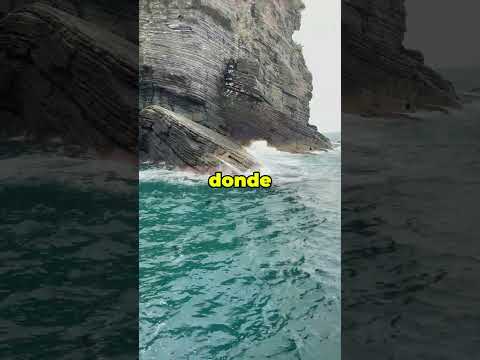 #hombrealfatop #motivacion #hombresconestilo #hombrealfa #hombremoderno #desarrollopersonal #exito