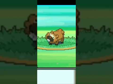 MEU INFERNO de BIDOOFS!