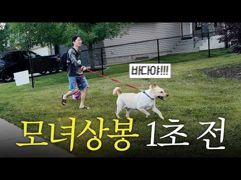 캐나다로 <strong>입양</strong> 보낸 막내딸 만나러 16시간 비행기 타고 온  엄마 다다