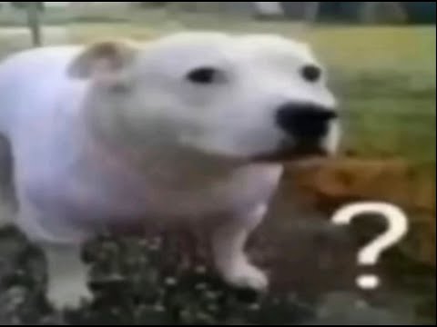 🎂BIRTHDAY STREAM! Playing GLIDER MASTERY Challenges