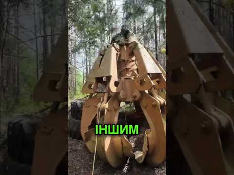 Що для мене зона відчуження