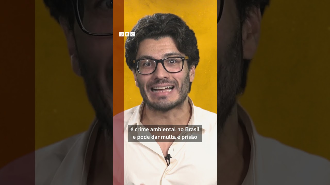 🐯⚠️ Jaguatirica Pituca: o embate judicial entre Ibama e influenciadora