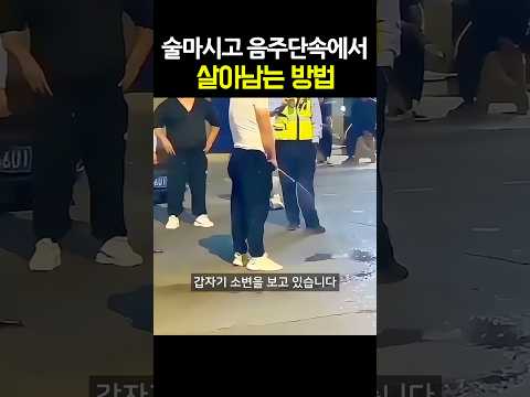 술마시고 음주단속에서 살아남는 방법