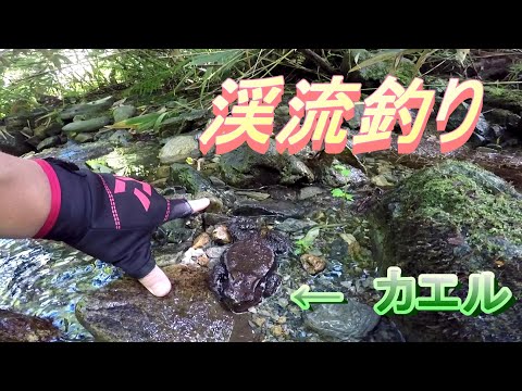 【青森県】ミノーで渓流釣り「イワナ」