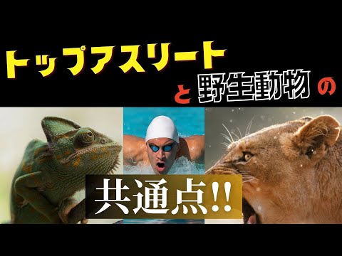 下半身麻痺の高校生が歩き出した理由は、トップアスリートと“野生動物”の共通点だった──それは「衰えの要因」!?😳