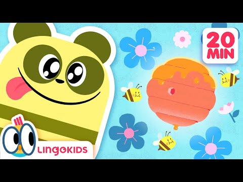 Let's Go Back to School 📚🎒 Educational Cartoons for Kids | Lingokids