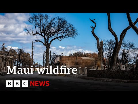Hawaii wildfire: Maui emergency chief quits after sirens criticism - BBC News