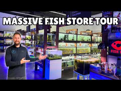 Is This California’s BEST Fish Store? 300+ Tanks Take a tour with me through CK Fish World in West Covina, CA, just outside Los Angeles — a shop th