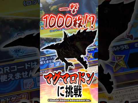 猫の動画サムネイル - #釣りスピ で #メダル1000枚 ゲット!?進化しすぎて大変なことにwww #釣りスピワンダー #釣りスピリッツワンダー #釣りスピ研究所 #釣りスピリッツ