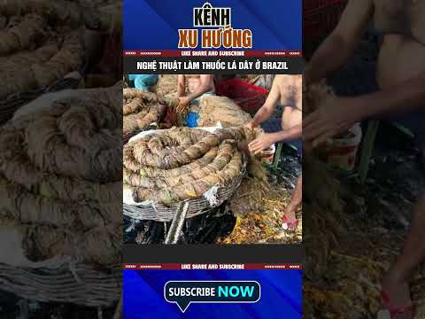 BÍ MẬT NÔNG SẢN ĐỘC ĐÁO CỦA NÔNG DÂN BRAZIL!