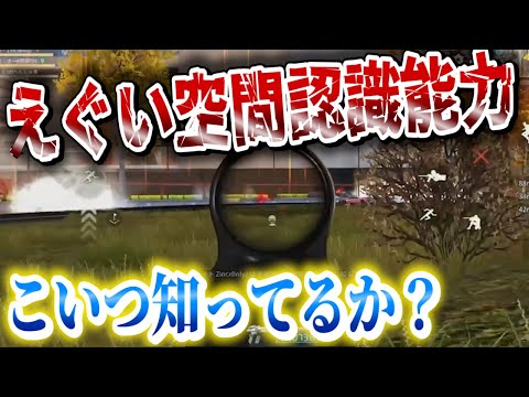 【荒野行動】ずば抜けた【空間認識力】で敵の位置を全て把握するコイツがやばい！