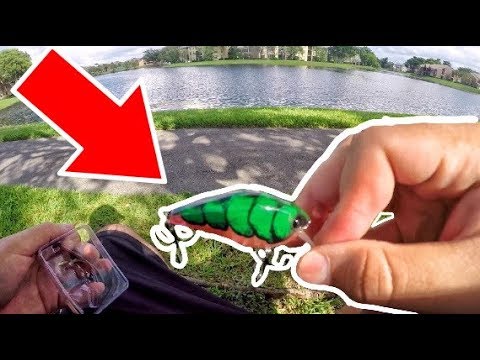 This custom hand designed fishing lure catches BIG fish!!! video thumbnail