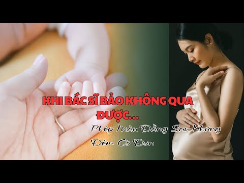 TAI BIẾN Động Lực Sống Qua Hành Trình Vượt Khó