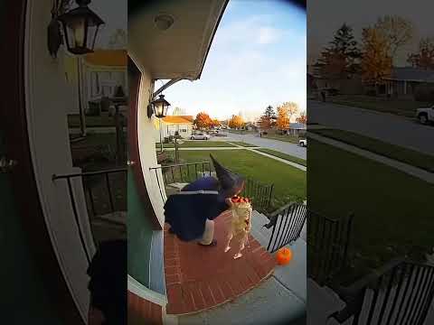 HOA Karen Falls INTENTIONALLY?!