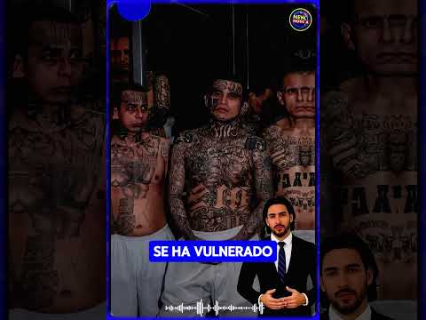 Hasta cuando seguirá el régimen de excepción