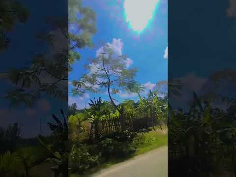 #nature #highlights #viralvideo #love #jaishreeram #youtubeshorts