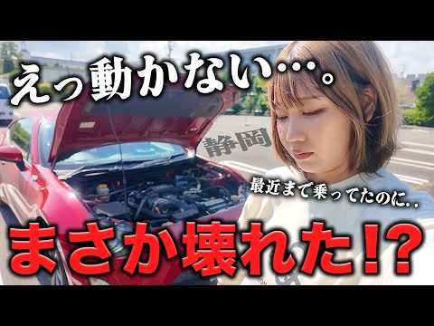 旅行いこうとしたら愛車が動かない…【静岡】