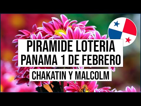 Pirámide Lotería de Panamá Miércoles 1 de Febrero 2023  - Pirámide de Chakatin y Malcolm Ramos