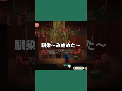 指定家具、絶対に馴染ませてやる！【あつ森｜ハッピーホームパラダイス】