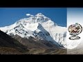 Himalayan Viagra - Nepal