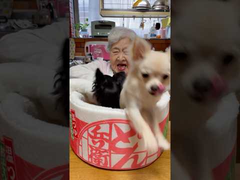 本日のお茶会🫖禁止令