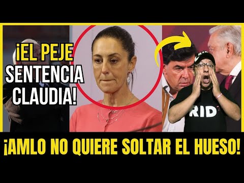 ¡SHEINBAUM en PROBLEMAS! ¡ESTE ESCÁNDALO TERMINARÁ de HUNDIR a la CORCHOLATA! | Compilación #377