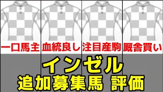 【インゼル】2023年産追加募集馬3頭の評価【グアンの23/アルマリンピアの23】