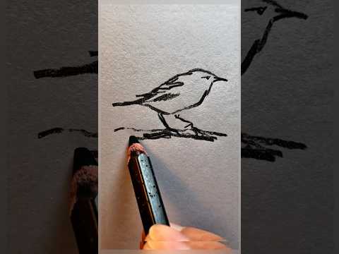 How to draw a bird
