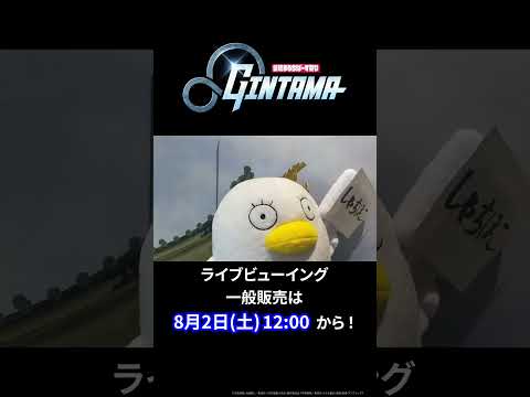 【銀魂まるちばーす祭り】エリザベスが日本一周！？ #銀魂 #銀八先生 #gintama #ginpachi