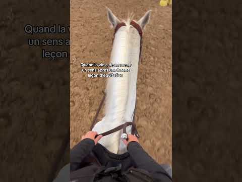 Une séance et top #horse #horsetraining