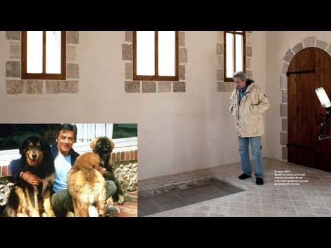 Obsèques d'Alain Delon : le Guépard inhumé aux côtés de ses chiens à Douchy