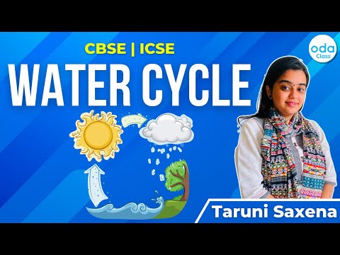 WATER CYCLE | SCIENCE | CBSE | ICSE | ODA CLASS | TARUNI MA'AM