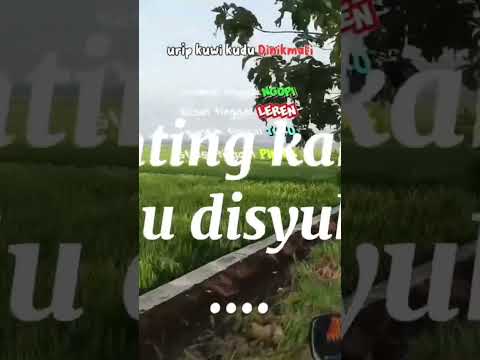 Ngopi,leren,turu,piknik#fyp #ngopimalam #leren #istirahat #piknic