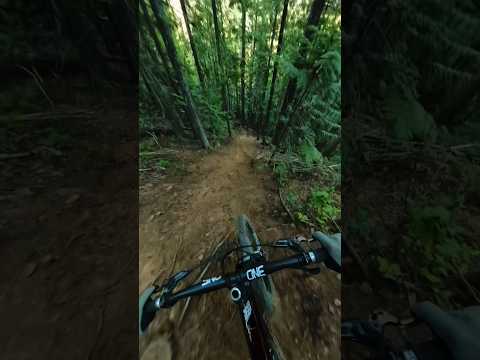 This trail is called “Straight F##king Down”! 🤯🤯🤯