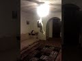 CAT JUMPS 7 + Feet Up Turns out Ceiling Light Amazing - Jukin Media Verified (Original)