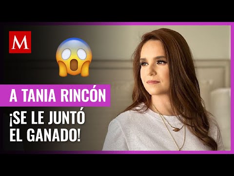 Tania Rincón y su ex brillan con su amistad mientras disfrutan salidas junto a sus parejas