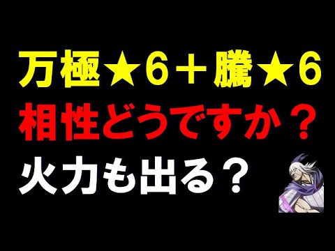 【キングダム乱】万極★6＋騰★6相性どうですか？火力も出ると思います